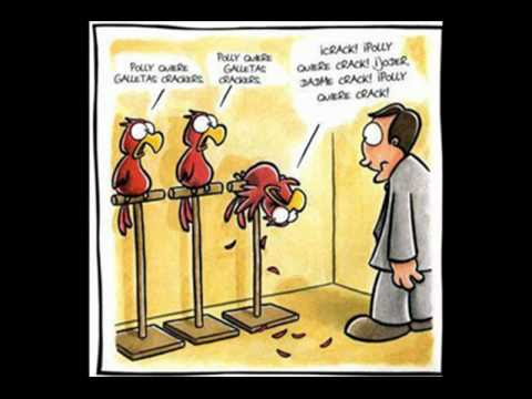 Caricatura Animales Chistosos Imagui