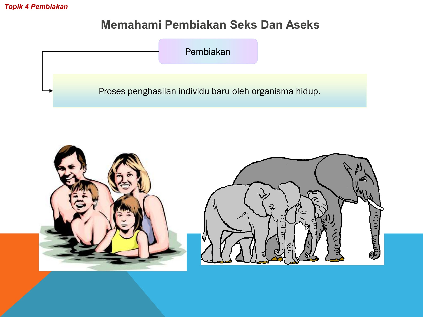 Sains Ting 1 Bab 4 4 1 Membalik Buku Halaman 1 16 Anyflip