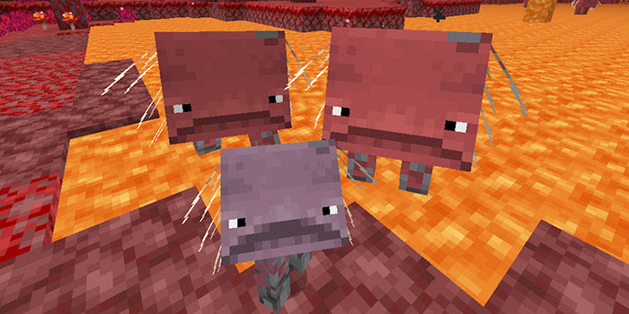 21最新版 全32種のマイクラの動物 手なづけと繁殖の方法まとめ マイクラモール