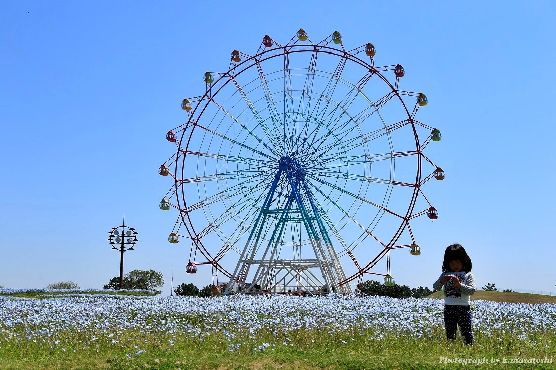 気ままな車内泊一人旅 海の中道海浜公園 さよなら大観覧車part2