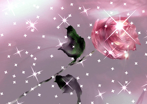 http://dl3.glitter-graphics.net/pub/1390/1390813rnrvsz83w7.gif