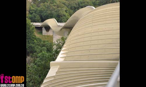 Stressed out? Relax at the beautiful Henderson Waves and Forest Walk