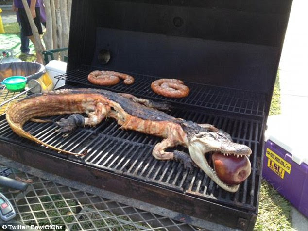Louisiana University fans prepare for Florida Gators game Louisiana University fans prepare for Florida Gators game