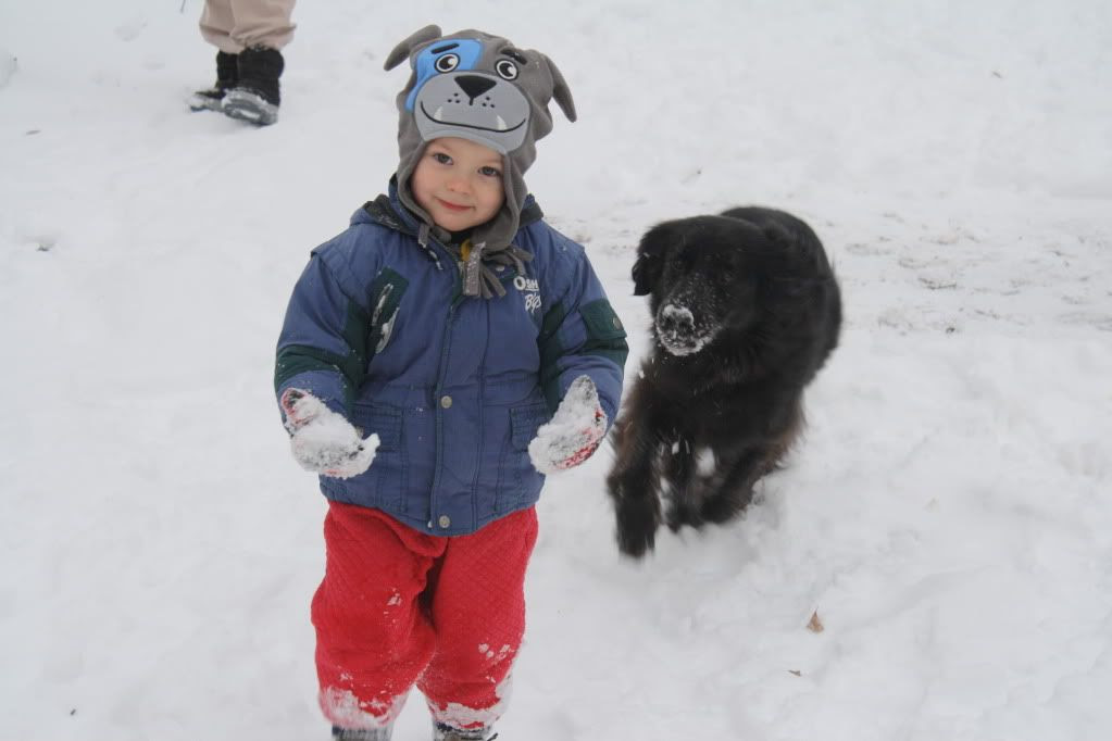 Playing in the Snow