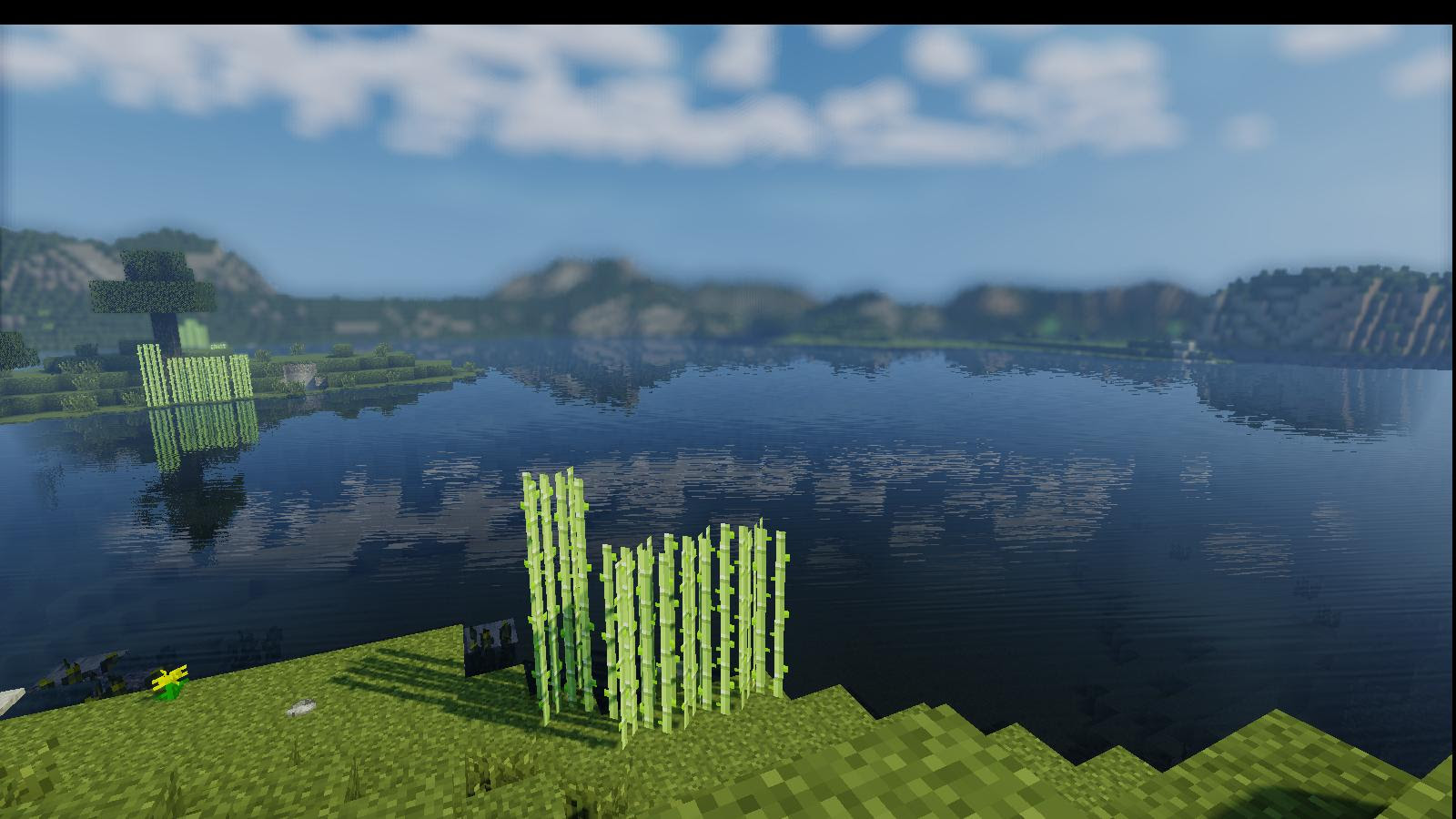 What do I need to do to make the background less blurry 