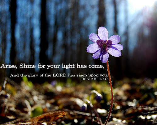Isaiah - The Glory of Zion - Arise, shine, - Bible Gateway