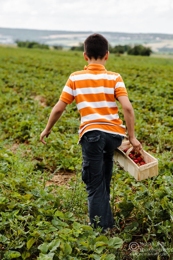 Soeren Strawberry Field (0054) by Meeta K. Wolff