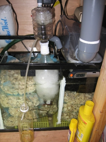 海水魚日記 自作ペットボトルスキマー