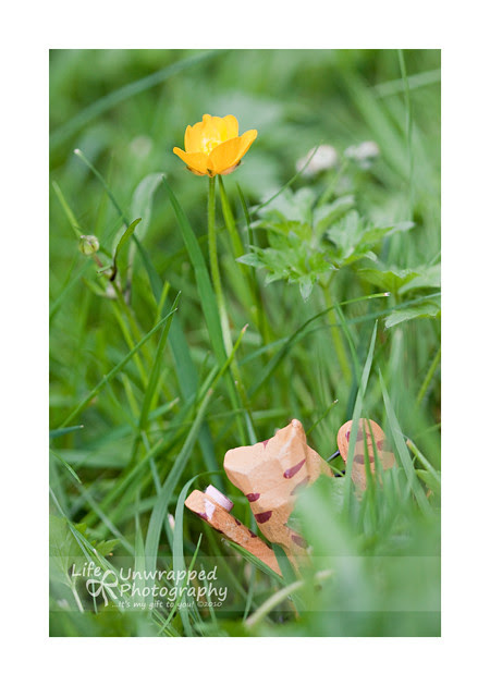 May2410_0004ew