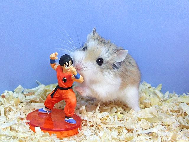 Attack of the Furry Entertainers!