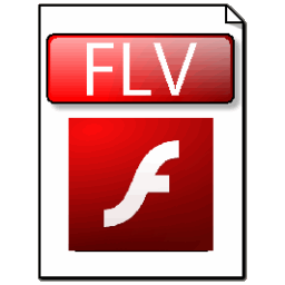 Image result for flv  icon file