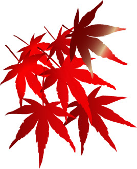 そろそろ秋ですね いろいろな紅葉のイラスト12点 ベクターデータ フリー無料素材 商用ok 京都ホームページ制作日記