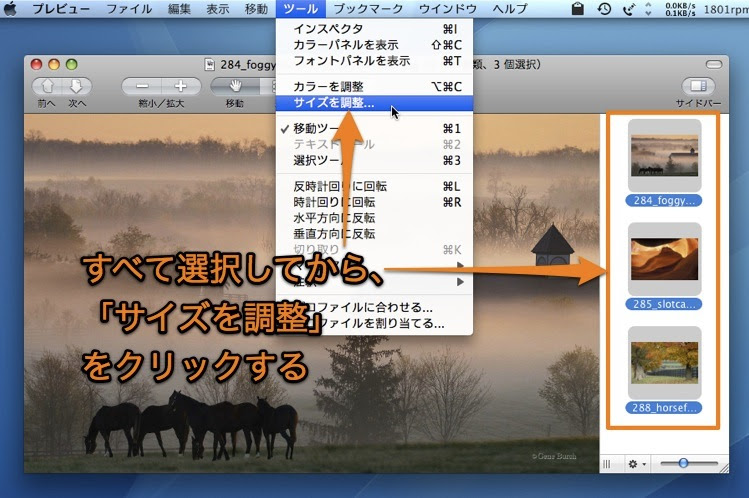 Macのプレビュー.appで複数の写真を拡大・縮小する方法 / Inforati