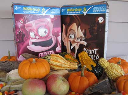 And Suddenly, it is Autumn!