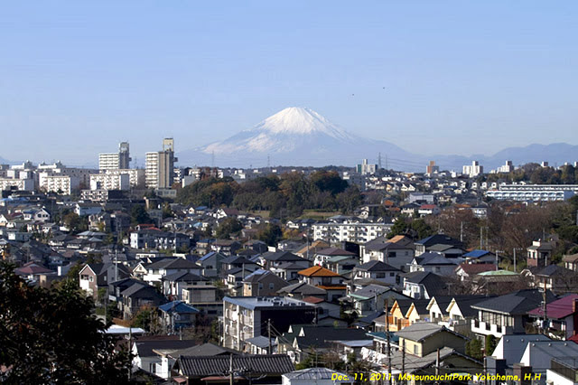 神奈川県から見る富士