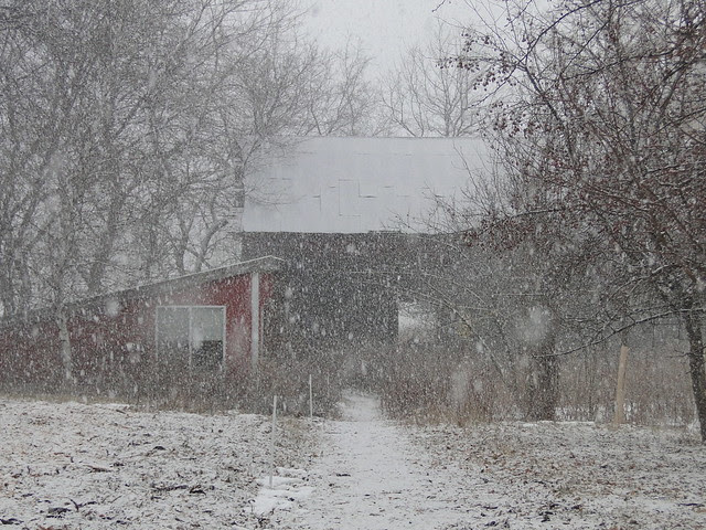 DSC00333