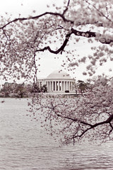 classic Washington view