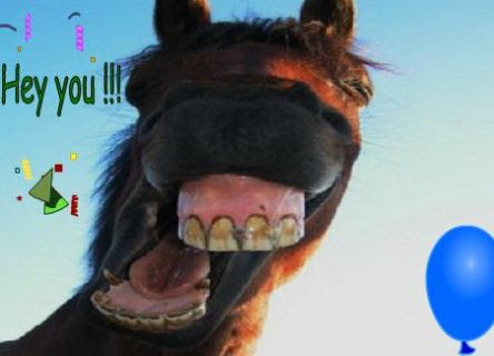 Un Joyeux Anniversaire A