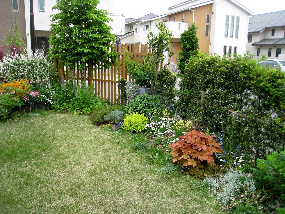 この紫の花の雰囲気がgood 楽勝 パパのお手軽ガーデニング