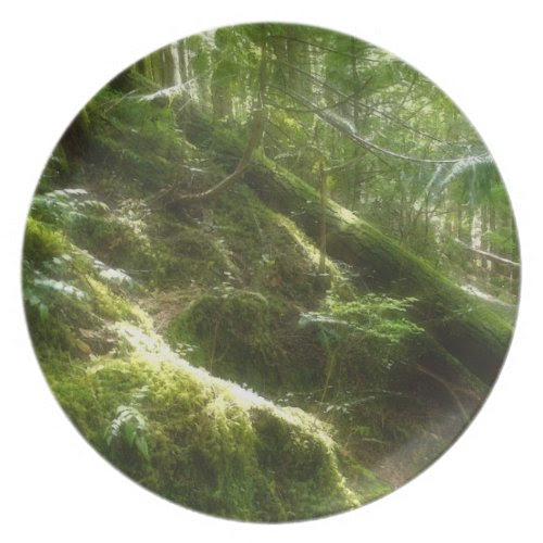 Mossy Forest in Sunlight Nature-lovers Plate plate