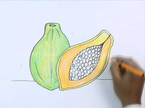 How to Draw a Papaya - YouTube