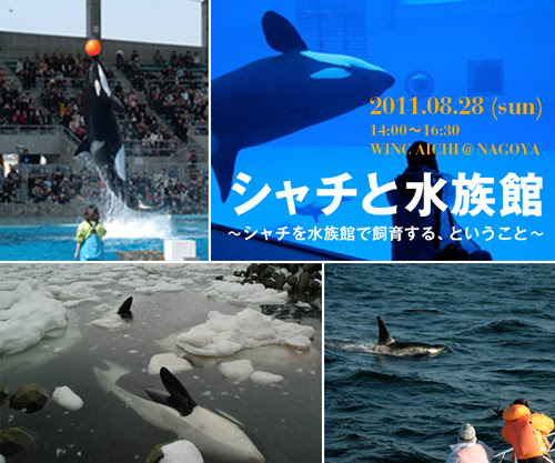 考えるなかまたち