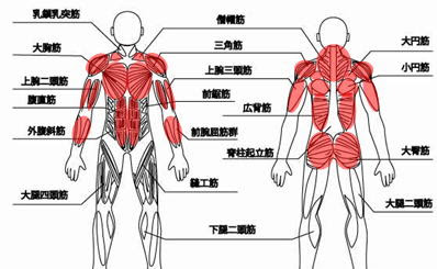 アクロバットマン 筋トレ講座