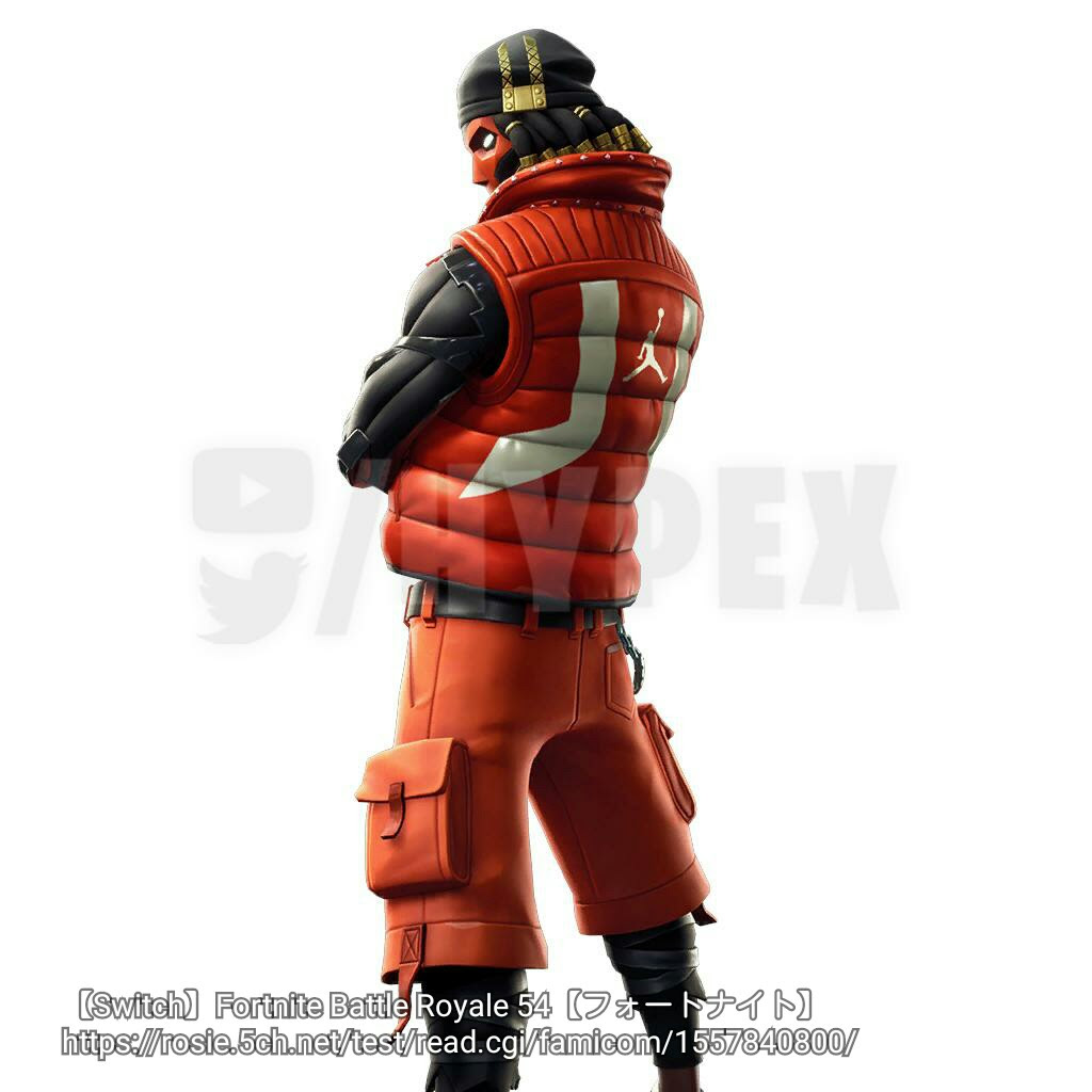 Switch Fortnite Battle Royale 54 フォートナイト ゲーム