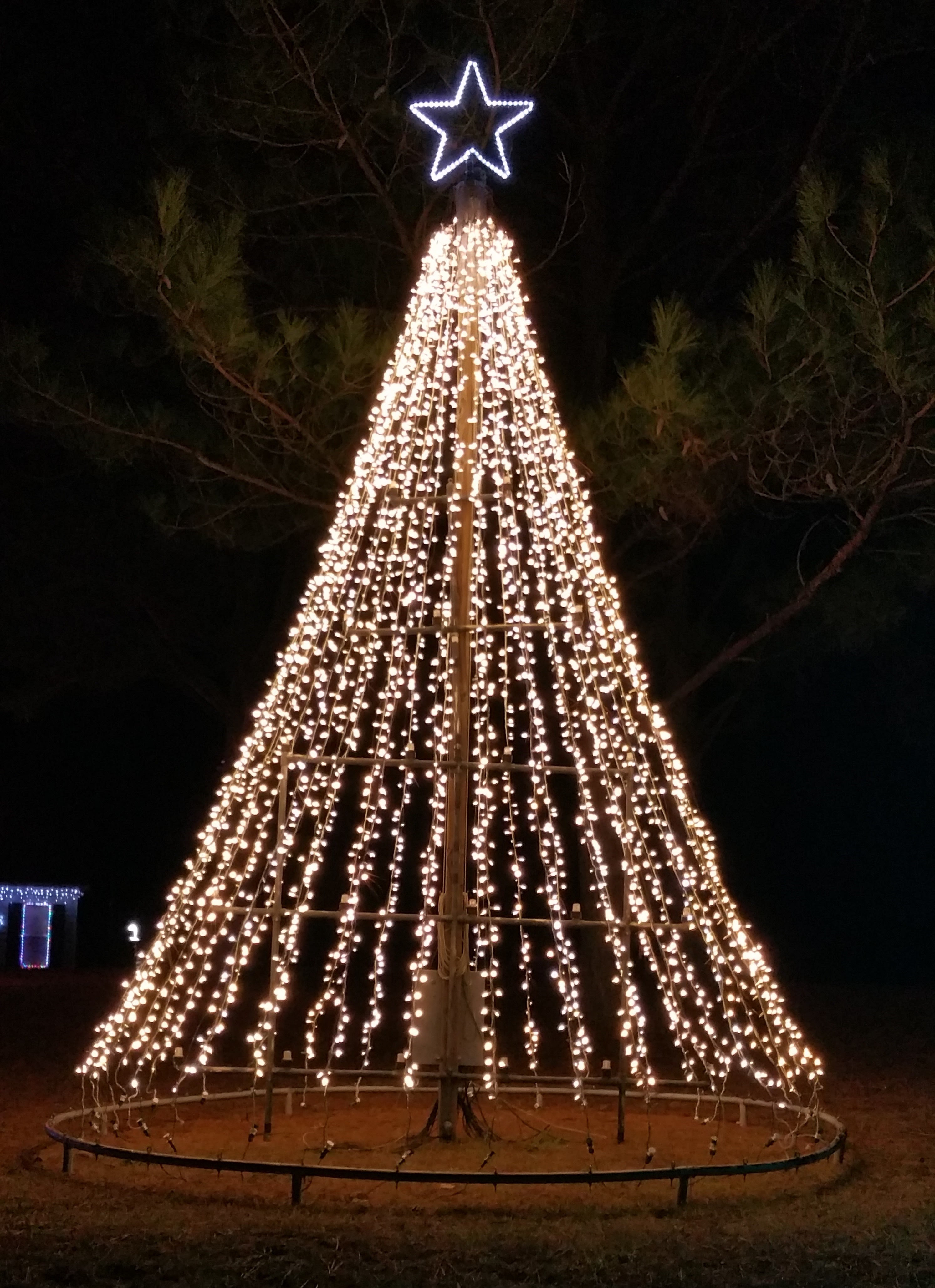 Christmas Light Show Kit