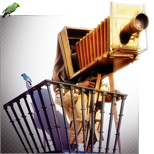 Entropy ≥ Memory . Creativity ²