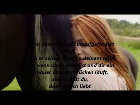 geburtstagsspruch zum 16