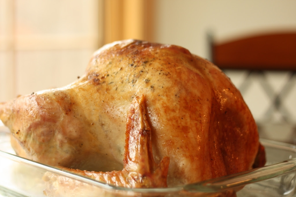 Thanksgiving 207c