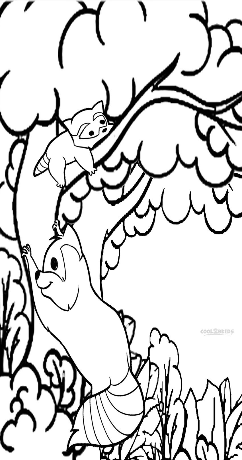 Download Printable Raccoon Coloring Pages For Kids | Cool2bKids
