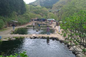 宮城県の管理釣り場 管理釣り場ドットコム