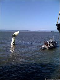 According to the Astoria Coast