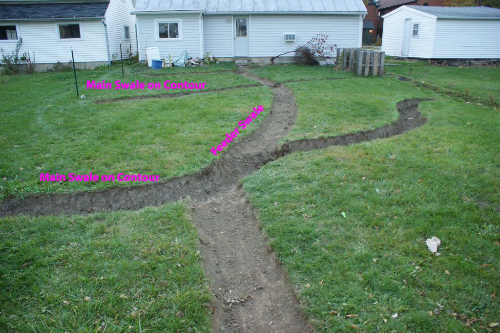 Swales - Great Lakes Permaculture