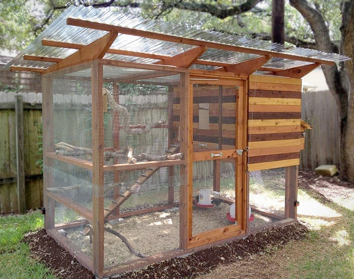 Which Wood Should I Use For A Chicken Coop Coop 