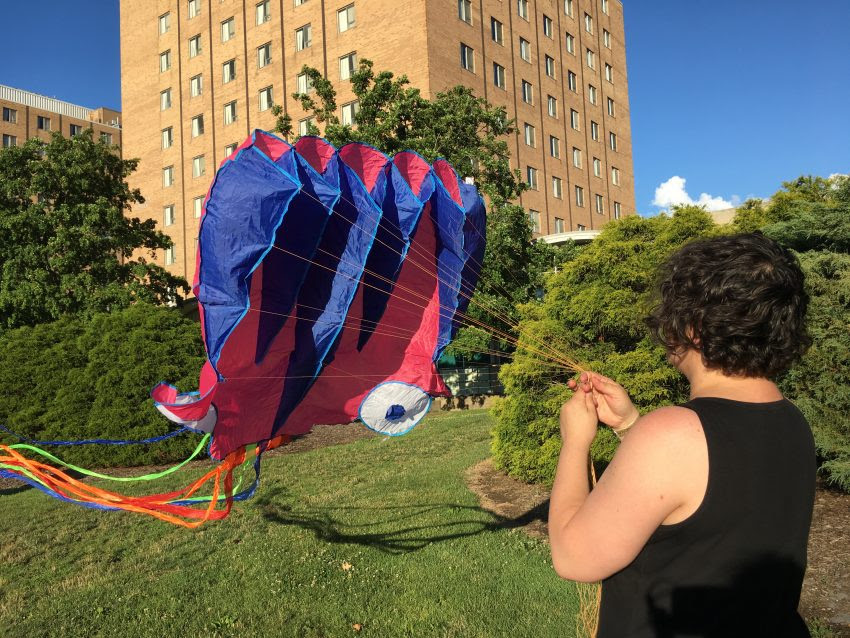 Public Lab Kite 