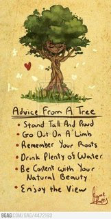 FB ADVICEFROM A TREE