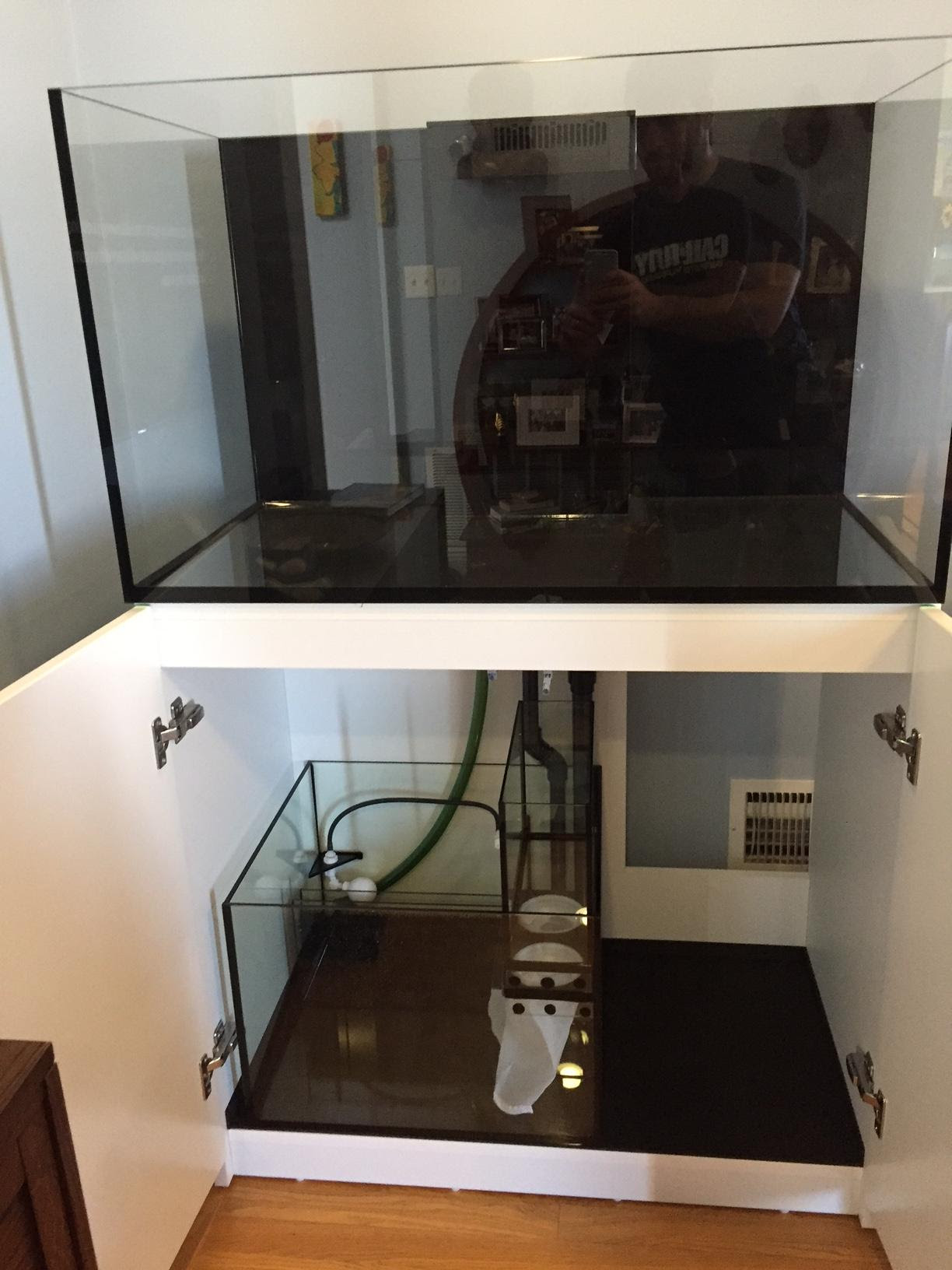 Blitzer S Red Sea Reefer 250 Build Reef Central Online Community