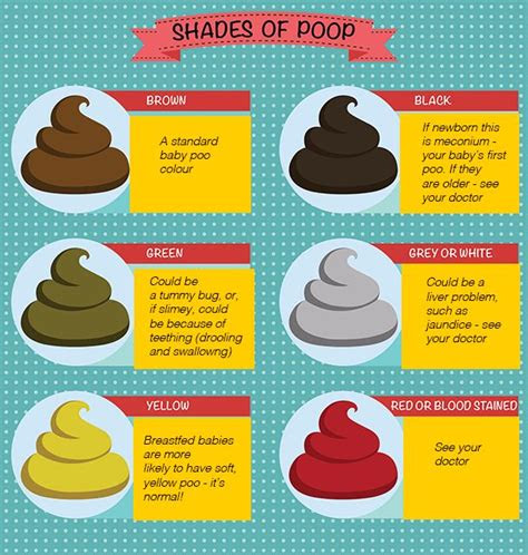  12 free printable stool color charts word pdf download stool color