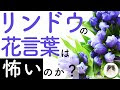 [最も欲しかった] リンドウ 切り花 314008-リンドウ 切��花 品種