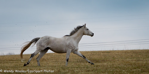 Ollie_11.20.10_wu-8268