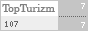 TopTurizm