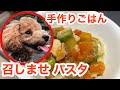 コンプリート！ 犬 涙やけ フード 手作りレシピ 315759