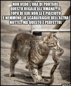 Frases Envolvendo Sorriso