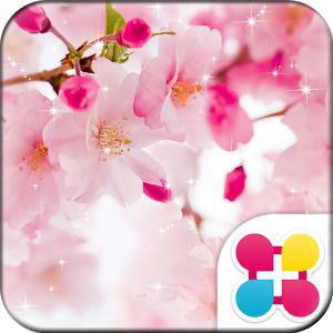 Appliv 桜壁紙 Sakura Shower