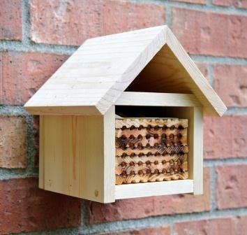 Mason Bee House Plans: How To Make A Bee House