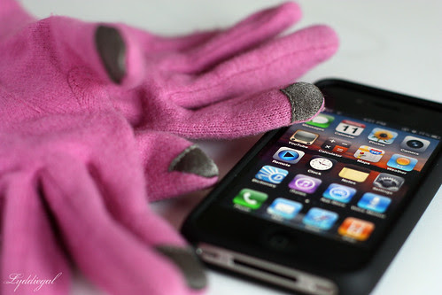 Echo Touch iPhone Gloves