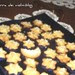 Una miriade di stelline
